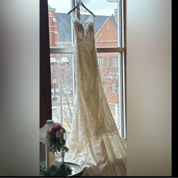 **Shneu's Dazzling Ombre Metallic Gown: Captivate with Charisma** main image 1